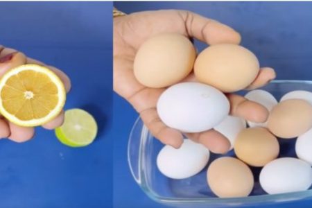 മുട്ട വാങ്ങി കഴിക്കുന്നവർ സൂക്ഷിക്കുക! മുട്ടയിലെ ഈ ചതി ഇനിയും അറിയാതെ പോകരുതേ; തെളിവുകൾ സഹിതം!! | How To Check Original Egg
