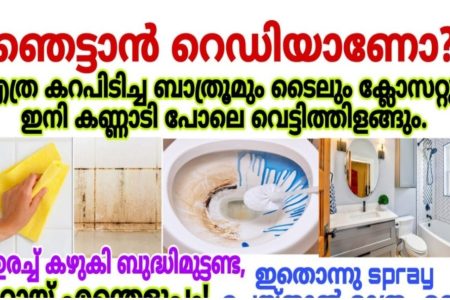 എത്ര കറപിടിച്ച ബാത്റൂം ടൈലും ക്ലോസറ്റും പുത്തൻ പോലെ തിളങ്ങും! ഇതൊന്നു സ്പ്രേ ചെയ്താൽ മതി | Bathroom Cleaning Easy Tips