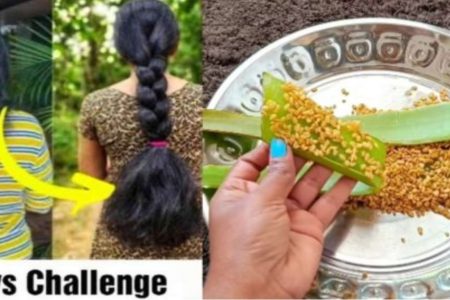 വെറും 7 ദിവസം കൊണ്ട് മുടി വളരും 100 അല്ല 1000% ഗ്യാരണ്ടി.!! രാത്രി ഇത് ഒരുതുള്ളി മാത്രം മതി; കൊഴിഞ്ഞു പോയ ഓരോ മുടിയും വളർത്താം.!! Aloevera and fenugreek for hair