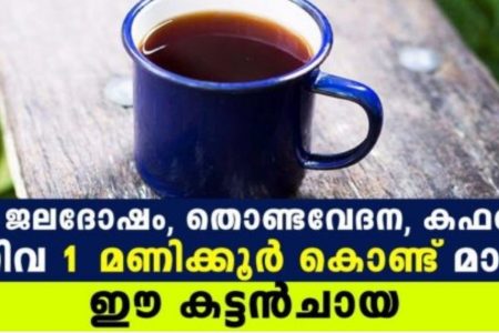 ചുമ, ജലദോഷം, തൊണ്ടവേദന, കഫക്കെട്ട് എന്നിവ ഒരു മണിക്കൂർ കൊണ്ട് മാറാൻ ഈ ഒരു കട്ടൻചായ മാത്രം മതി!! | Special Tea For Cough And Cold