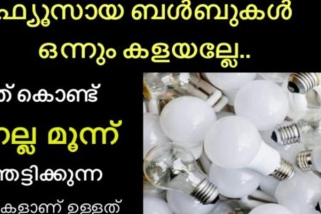 ബൾബുകൾ ഒന്നും കളയല്ലേ.. ഫ്യൂസായ ബൾബ് കൊണ്ട് മൂന്ന് ഞെട്ടിക്കുന്ന ഐഡിയകൾ.. | Old Bulb Reuse Idea