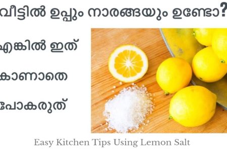 വീട്ടിൽ ഉപ്പും നാരങ്ങയും ഉണ്ടോ? എങ്കിൽ ഇത് കാണാതെ പോകരുത്; ഉപ്പും നാരങ്ങയും ഇത്രയും ഉപയോഗമുള്ള ടിപ്പ് വേറെ ഇല്ല | Easy Kitchen Tips Using Lemon Salt