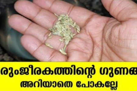 നിങ്ങളെ അലട്ടുന്ന ഏറ്റവും വലിയ പ്രശ്നത്തിന് പരിഹാരം.!! ദിവസവും പെരുഞ്ചീരകം ഇങ്ങനെ കഴിച്ചാൽ; ശരീരത്തിനുള്ളിലെ ഈ പ്രശ്നങ്ങൾ പമ്പകടക്കും.!! | Perum Jeerakam Benefits