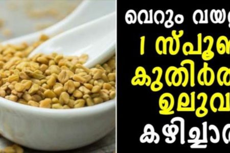 രാവിലെ വെറും വയറ്റില്‍ ഒരു സ്‌പൂൺ കുതിര്‍ത്ത ഉലുവ ഇങ്ങനെ കഴിക്കൂ; ശരീരത്തിൽ സംഭിക്കുന്ന ഞെട്ടിക്കുന്ന മാറ്റങ്ങൾ അറിയാം.!! | Health Benefits Of Fenugreek