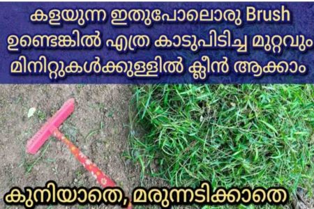 പഴയ ബ്രഷ് ഉണ്ടോ? ഇതുപോലൊരു ബ്രഷ് മതി കെമിക്കൽ ഇല്ലാതെ കാടുപിടിച്ച മുറ്റം ഈസിയായി ക്ലീൻ ആക്കാം!! | Grass Removing Idea