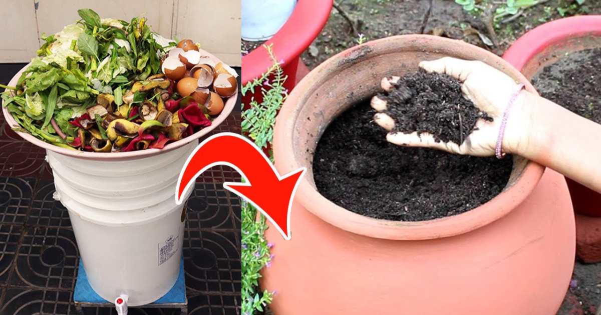 Easy Kitchen Compost Making