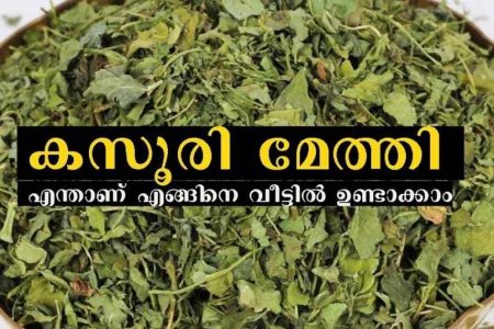 രുചിക്കും മണത്തിനും കസൂരി മേത്തി എടുക്കുന്ന വിധം! ഇനി കസൂരി മേത്തി ആരും കാശു കൊടുത്തു വാങ്ങിക്കേണ്ട!! | Easy Homemade Kasoori Methi
