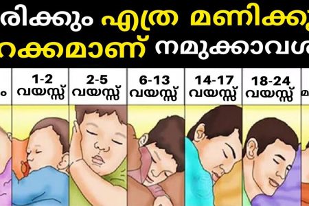 നിങ്ങൾ എത്ര മണിക്കൂർ ഉറങ്ങും.? ശരിക്കും നമുക്ക് എത്ര മണിക്കൂർ ഉറക്കമാണ് ആവശ്യം.!! ഈ കാര്യങ്ങൾ അറിയാതെ പോകരുതേ.. | How Much Sleep is Really Needed
