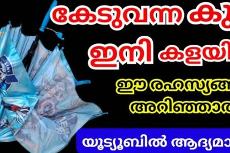 എന്റെ പൊന്നു കുടയേ! കേടായ കുട കൊണ്ട് ഒരുതവണ ഇതുപോലെ ഒന്ന് ചെയ്തു നോക്കൂ നിങ്ങൾ ഞെട്ടും ഉറപ്പ്!! | Umbrella Reuse Idea