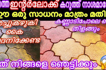 ഇതൊരു തുള്ളി മാത്രം മതി.!! മുറ്റത്തെ കറപിടിച്ചു കറുത്തുപോയ ഇന്റർലോക്ക് ടൈലുകൾ മിനിറ്റുകൾക്കുള്ളിൽ വൃത്തിയാക്കാം; ഇതിലും എളുപ്പവഴി വേറെയില്ല.. | Interlock Tiles Cleaning Easy Tips