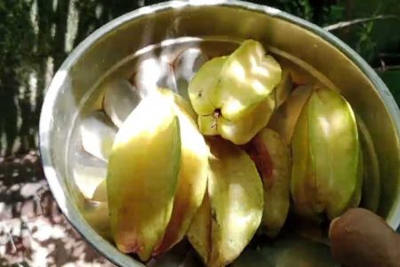 വെയിലത്തു നിന്നും വരുമ്പോൾ കുടിക്കാൻ പറ്റിയ ഒരു ജ്യൂസും അതുപോലെ കുറെക്കാലം സൂക്ഷിക്കാൻ പറ്റിയ ഒരു അച്ചാറും. Special Healthy star fruit juice and pickle