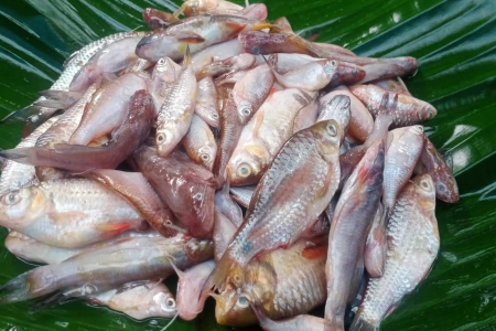 പുഴമീൻ വാങ്ങുമ്പോൾ ഇതുപോലെ ഒന്ന് ഉണ്ടാക്കി നോക്കൂ | Kerala Special Puzhameen Curry